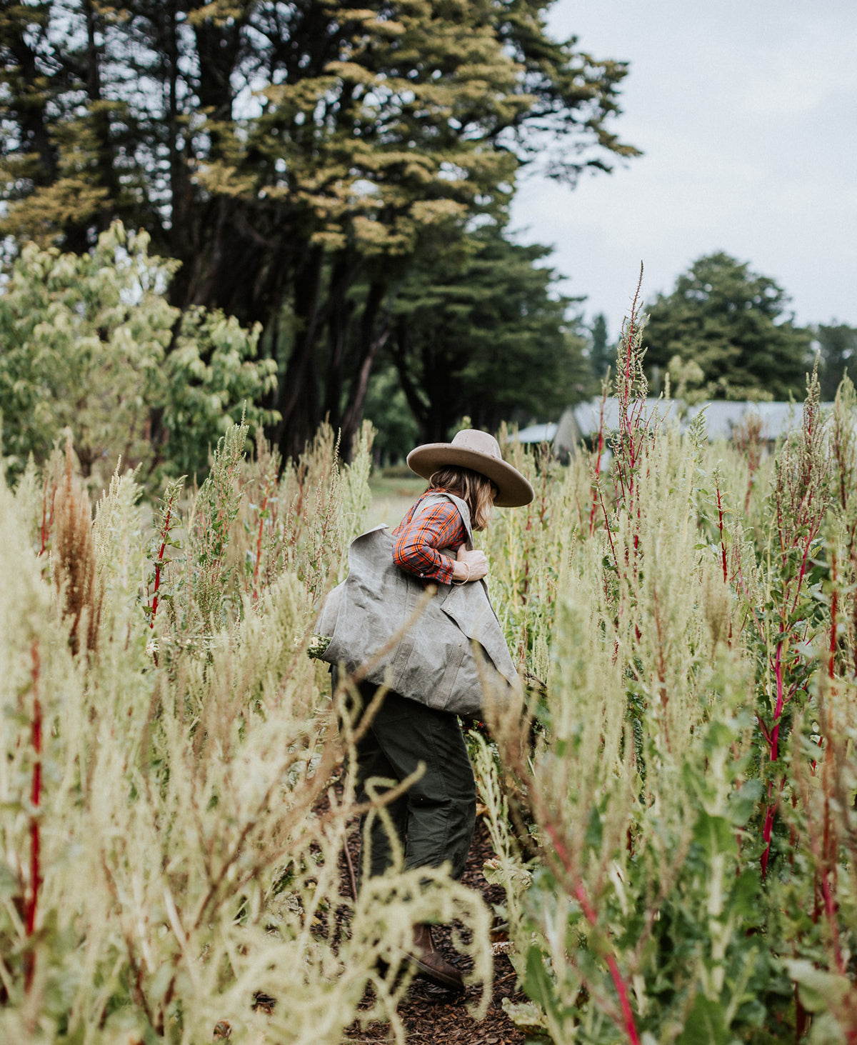 Creative Folk Two Birds Farming