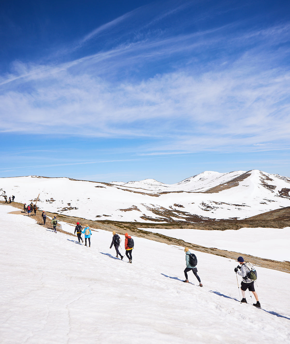 Walk for Wilderness