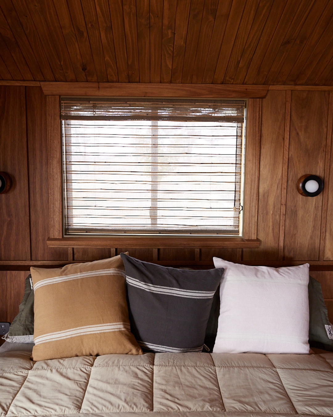 Admiral Cushion | Shell