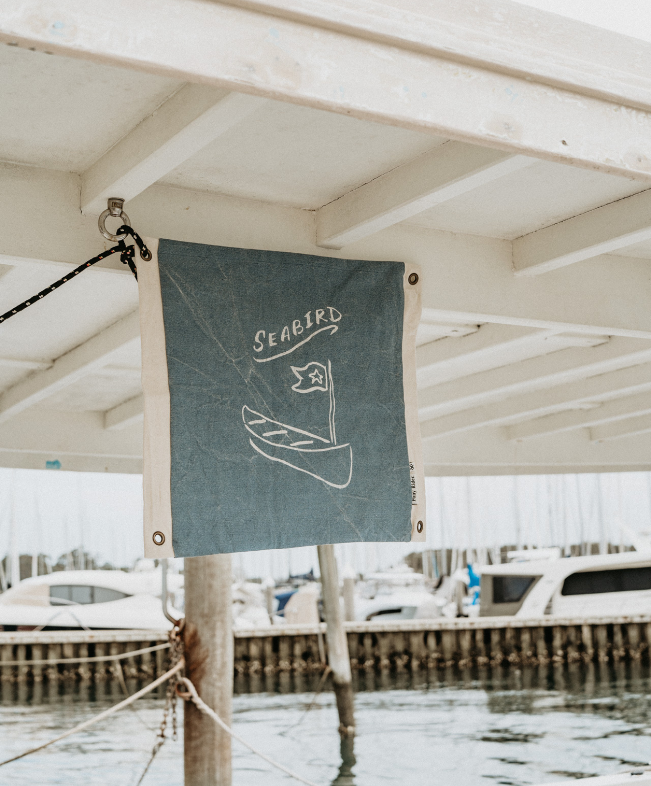 Seabird Cushion X Banner | Blue