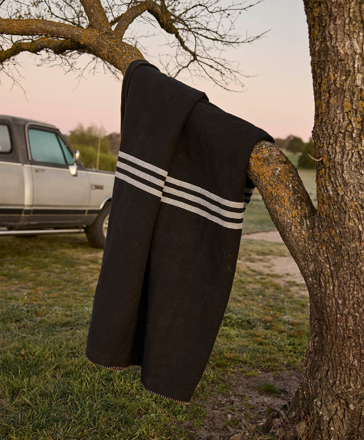 New Yorker Cotton Blanket | Black / White | King